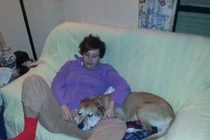 Tây Ban Nha: Giết cả chó để ngăn chặn Ebola