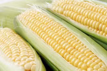 Lợi ích bất ngờ của ngô với bà bầu