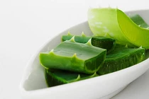 8 công dụng làm đẹp từ lô hội