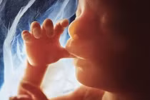 Xem bé nấc, cười, mút tay trong bụng mẹ ở tháng thứ 4