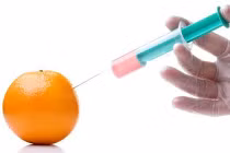 Giải mã hóa chất bảo quản hoa quả tươi lâu