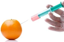 Giải mã hóa chất bảo quản hoa quả tươi lâu