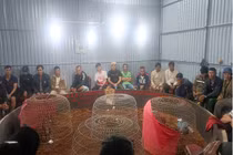 Bắt quả tang 50 đối tượng đánh bạc dưới hình thức đá gà