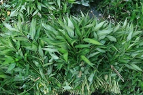 View - Hà Nội: Nhiều sai phạm đất đai ở Đại Mỗ được đề nghị giải quyết | Báo Tri thức và Cuộc sống - TIN TỨC PHỔ BIẾN KIẾN THỨC 24H