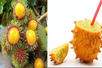 Quả lạ hot nhất mùa hè năm nay khiến chị em phát cuồng 