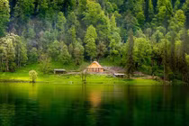 Ngắm những ngôi nhà trong rừng đẹp như tranh vẽ