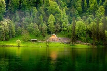 Ngắm những ngôi nhà trong rừng đẹp như tranh vẽ