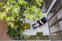 Ngắm nhà ống tràn ngập cây xanh ở Đà Nẵng khiến dân tình "phát thèm"