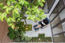 Ngắm nhà ống tràn ngập cây xanh ở Đà Nẵng khiến dân tình "phát thèm"