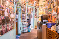 Bên trong ngôi nhà của một fan cuồng mèo