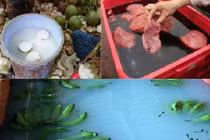 Cảnh tẩm hóa chất rợn người của thực phẩm Việt