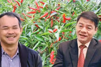 HAGL nợ “khủng” thế nào trước khi được THACO “cứu“?