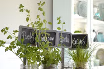 Ý tưởng tạo khu vườn nhỏ tuyệt đẹp ngay trong nhà 