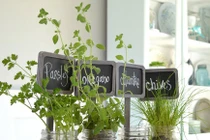 Ý tưởng tạo khu vườn nhỏ tuyệt đẹp ngay trong nhà 