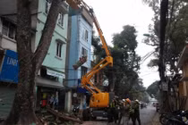 Cận cảnh xe cắt tỉa cây giá “sốc” ở Hà Nội 