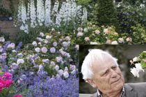 Mê mẩn vườn hồng hơn 1.000 gốc của cụ ông 91 tuổi