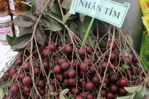 Giống nhãn tím kỳ lạ giá đắt đỏ có gì đặc biệt?