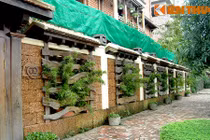 Những mẫu hàng rào đá đẹp mê hồn không thể bỏ qua