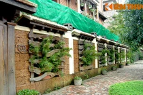 Những mẫu hàng rào đá đẹp mê hồn không thể bỏ qua