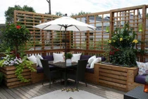 Những mẫu tiểu cảnh đẹp lạ cho nhà phố xanh mát