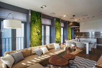 Hô biến không gian sống với sắc xanh hiền hòa, tươi mát