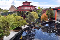 Mê mẩn khu vườn Á Đông như thiên đường của ông lão 80 tuổi