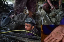 Xót xa cảnh ngụp lặn trong bùn sâu đào vàng vụn