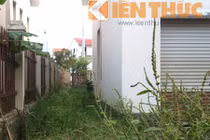 Biệt thự châu Âu sang chảnh phủ kín... cỏ giữa Hà Nội