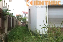 Biệt thự châu Âu sang chảnh phủ kín... cỏ giữa Hà Nội