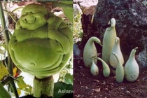 Tròn mắt nhìn những quả bầu hình thù kì dị có 1-0-2 