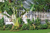 Mê mẩn loạt tường rào bằng sắt đẹp sang chảnh