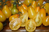 Bà nội trợ Việt lùng mua ráo riết loạt cà chua độc lạ