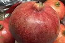 Loạt quả khổng lồ khiến chị em “phát sốt”