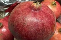 Loạt quả khổng lồ khiến chị em “phát sốt”