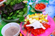 Điều ít biết về loại sứa đỏ đang gây sốt ở Hà Nội