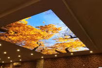 Mê mẩn những mẫu trần nhà 3D đẹp lung linh