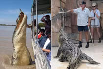 Soi những nghề bán mạng, chết dễ như chơi