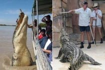 Soi những nghề bán mạng, chết dễ như chơi