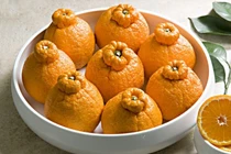 Cam lồi hình dáng dị thường gần 2 triệu đồng/quả gây choáng 