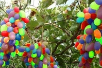 Những giống nho đắt đỏ màu sắc dị nhất thế giới 