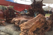 Ảnh: Bộ bàn ghế gỗ lũa hàng khủng giá tiền tỷ không bán