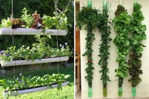 Những ý tưởng thiết kế vườn treo đẹp cho nhà chật chội