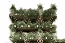 Ấn tượng mạnh nhà dây thừng đan tre đặc biệt ở Trung Quốc