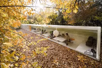 Ngắm nhà đẹp mê hồn dưới sắc màu mùa thu