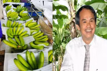 Cận cảnh vụ chuối đầu tiên xuất sang Trung Quốc của Bầu Đức