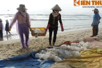 Cận cảnh ngư dân bội thu với “vàng trắng“