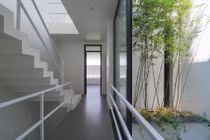 Sửng sốt “nhà trong cây” kịch độc ở Bắc Ninh