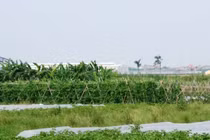 Loạt dự án “đắp chiếu” tại Mê Linh sau 10 năm sáp nhập Hà Nội