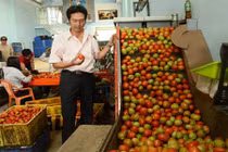 Cận cảnh máy đánh bóng cà chua của anh nông dân Lâm Đồng 