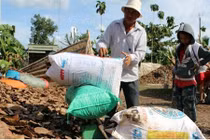 Nông sản dị thường thương lái TQ quyết mua ở VN